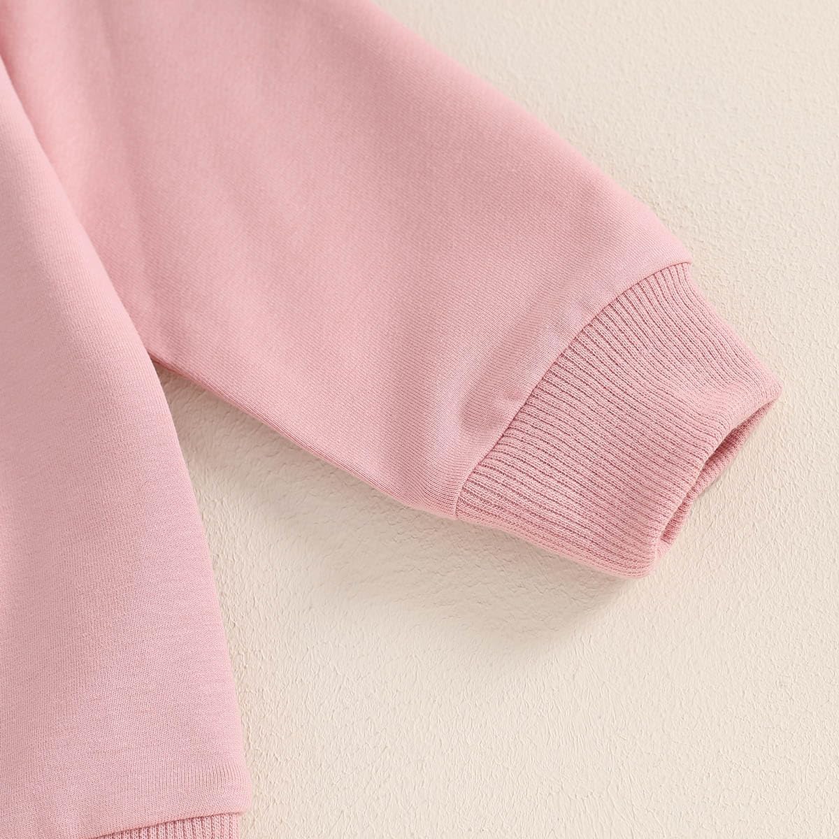 TheFound Toddler Baby Girl Clothes 6 12 18 Months 2T 3T 4T Long Sleeve Pullover Sweatshirt Top Pant Infant Fall Winter Outfit